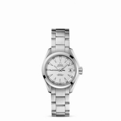 Omega Seamaster Aqua Terra 150M Co-Axial 30 Stainless Steel / Silver / Bracelet 231.10.30.20.02.001