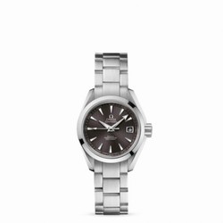 Omega Seamaster Aqua Terra 150M Co-Axial 30 Stainless Steel / Grey / Bracelet 231.10.30.20.06.001