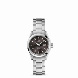 Omega Seamaster Aqua Terra 150M Quartz 30 Stainless Steel / Grey / Bracelet 231.10.30.61.06.001