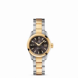 Omega Seamaster Aqua Terra 150M Co-Axial 30 Stainless Steel / Yellow Gold / Grey / Bracelet 231.20.30.20.06.002