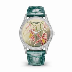 Patek Philippe Calatrava 5077 White Gold / Diamond / Orchids 5077/100G-032