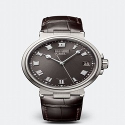 Breguet Marine 5517 Titanium / Slate Grey / Alligator 5517TI/G2/9ZU