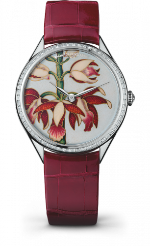 Vacheron Constantin Metiers d'Art Florilege China Limodoron Boutique 82650/000G-9855
