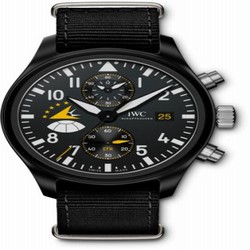 IWC Pilot's Watch Chronograph Military Edition Eagles IW3890-15