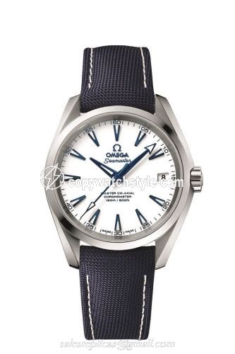 Omega Seamaster Aqua Terra 150M Master Co-Axial 38.5 Titanium / White / GoodPlanet 231.92.39.21.04.001 Omega Seamaster Aqua Terra 150M Master Co-Axial 38.5 Titanium / White / GoodPlanet 231.92.39.21.04.001