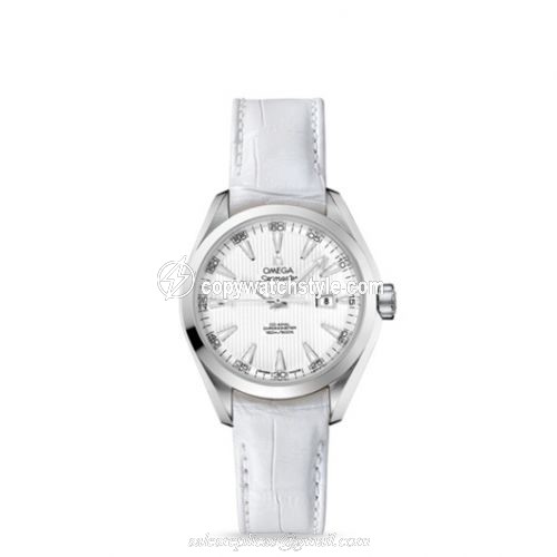 Omega Seamaster Aqua Terra 150M Co-Axial 34 Stainless Steel / Silver 231.13.34.20.04.001
