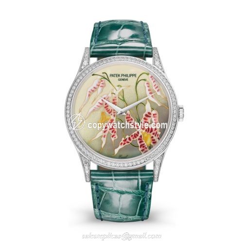 Patek Philippe Calatrava 5077 White Gold / Diamond / Orchids 5077/100G-032 Patek Philippe Calatrava 5077 White Gold / Diamond / Orchids 5077/100G-032